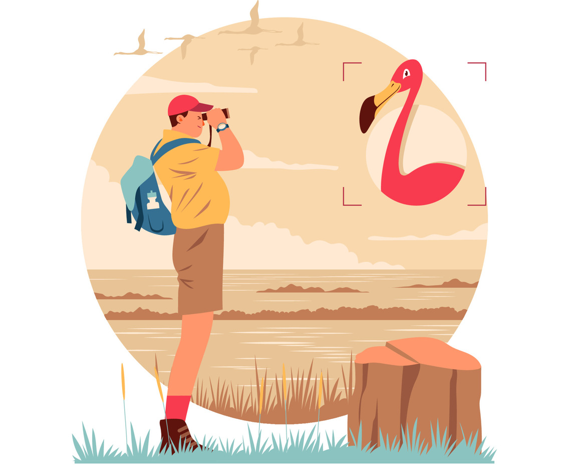 Bird Watcher at Swamp