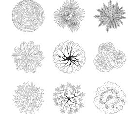 Sparse Treeplan tree plan - 5608 Free Vectors to Download | FreeVectors