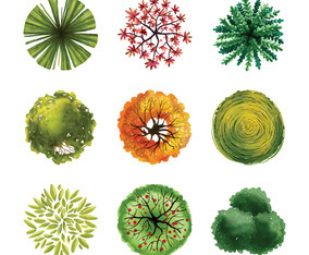 tree top view - 6276 Free Vectors to Download | FreeVectors