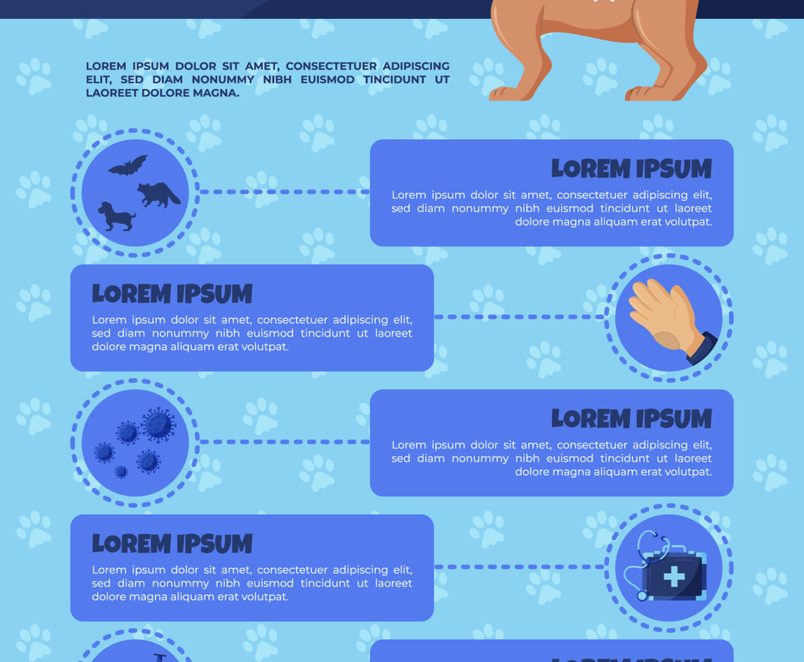 World Rabies Day Infographic