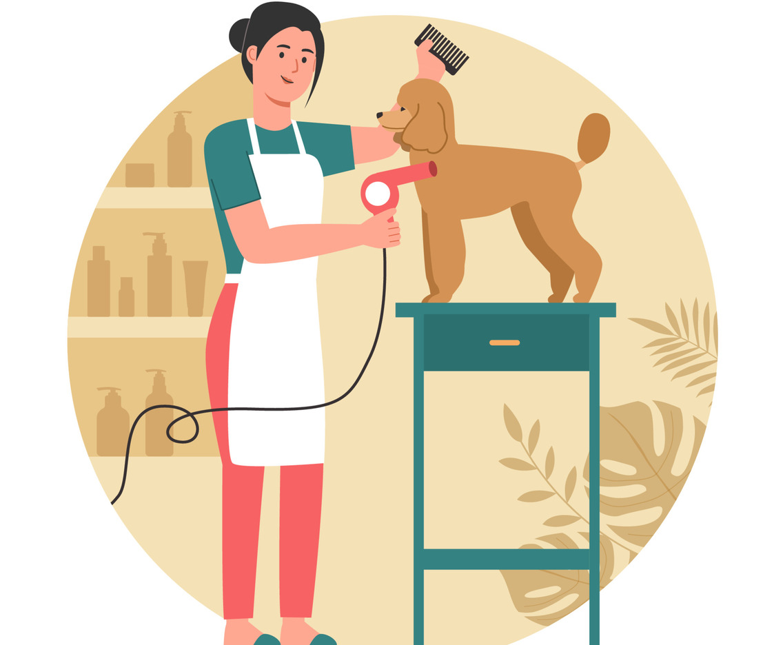 Pet Groomer Grooming a Dog