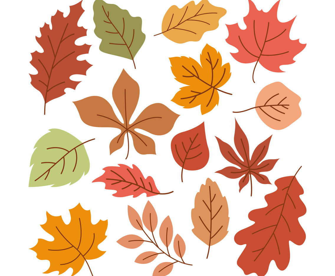 Fallen Leaves Flat Element Icon Creative Layout