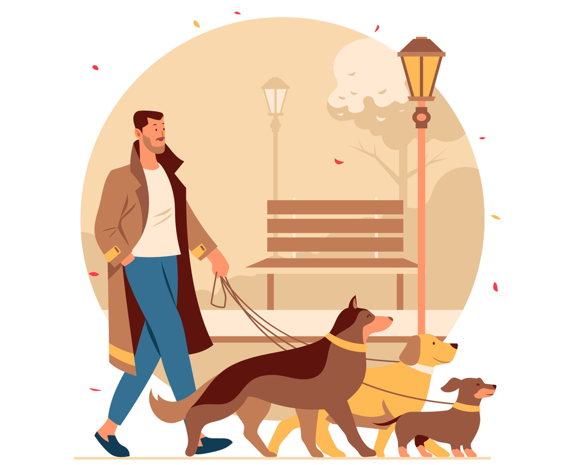Professional Dog Walker