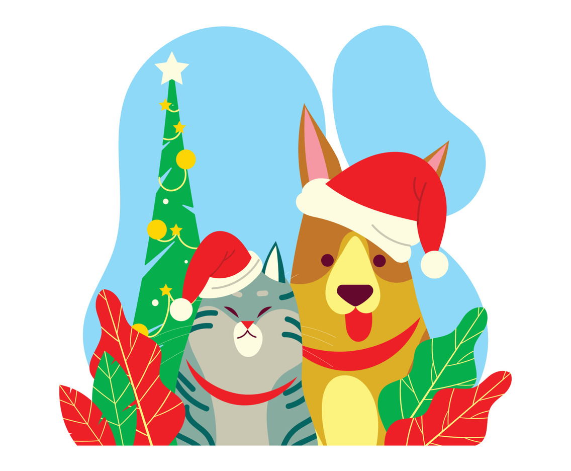 Cat and Dog with Santa Claus Hat