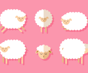 Vector Sheep Set