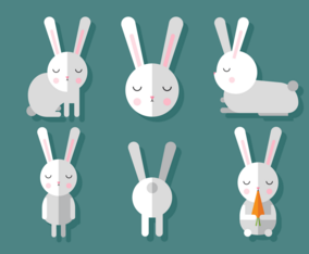 Vector Rabbit Set
