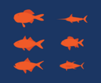 Vector Fish Set