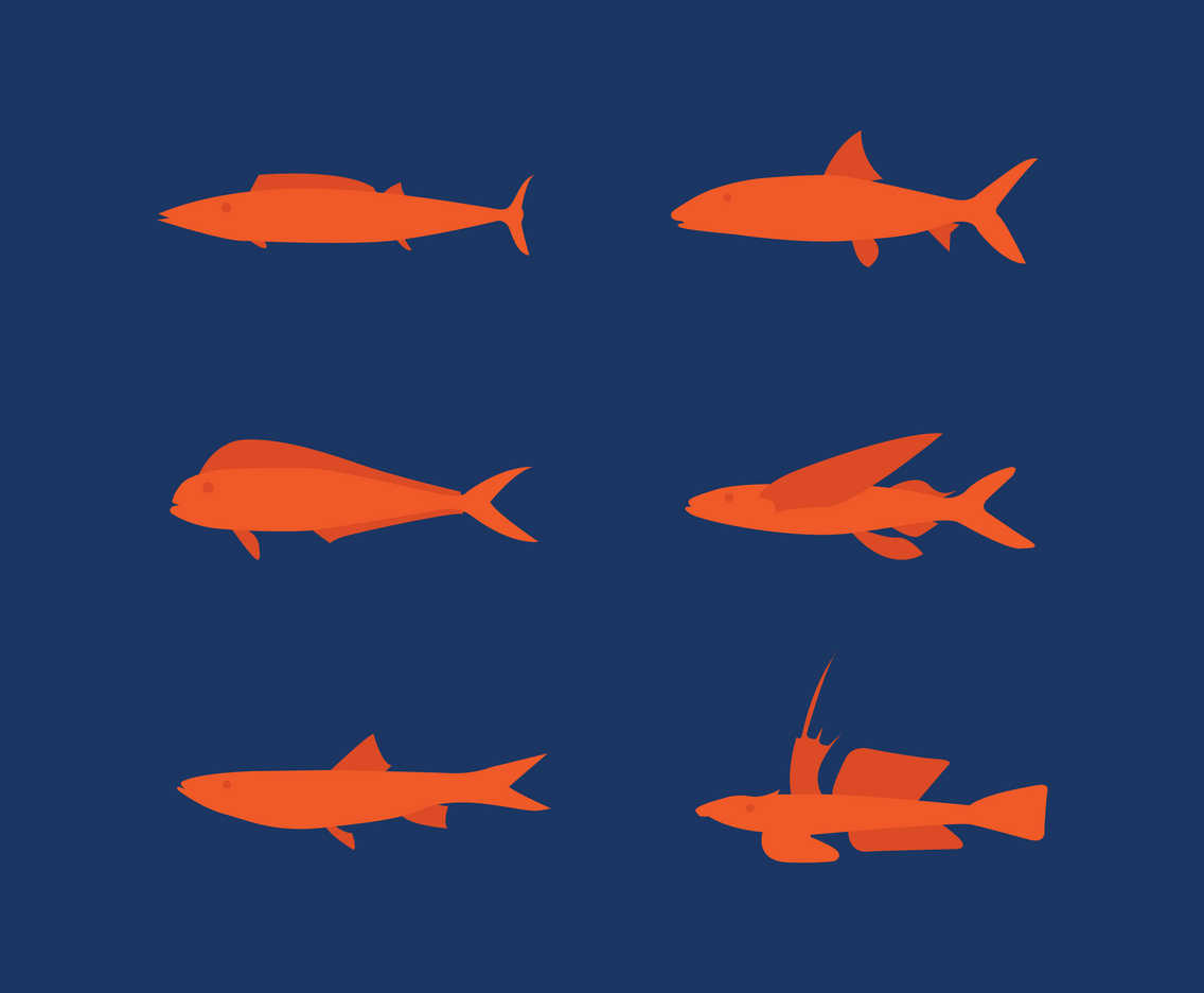 Flat Fish Set Vector