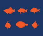 Fish Vector Set