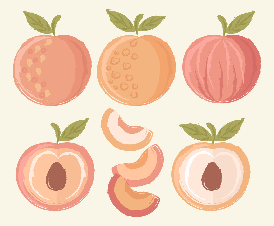 Vector Hand Drawn Peaches