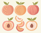Vector Hand Drawn Peaches