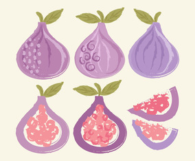 Vector Hand Drawn Figs