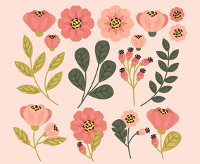 Vector Flowers and Branches
