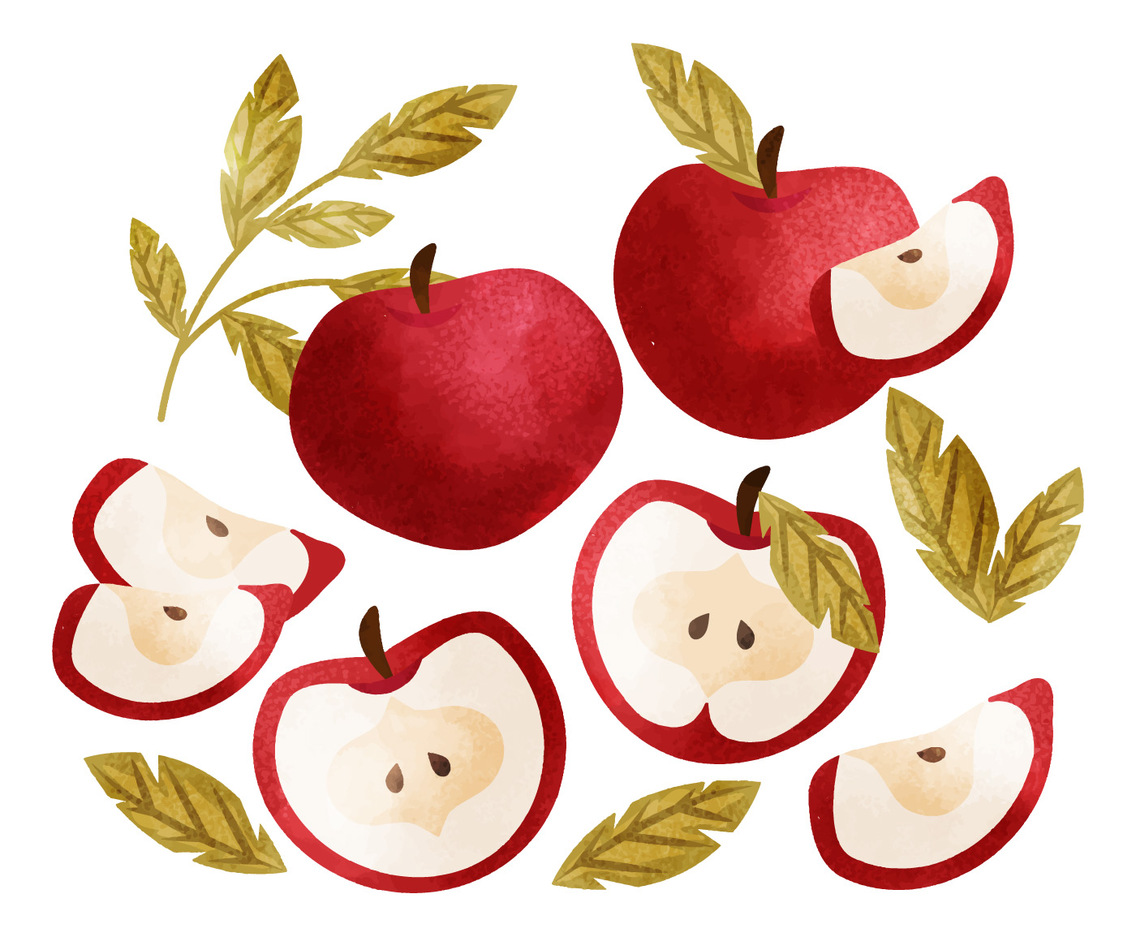 Vector Hand Drawn Apples