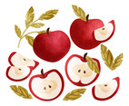 Vector Hand Drawn Apples