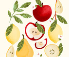 Vector Hand Drawn Fruits