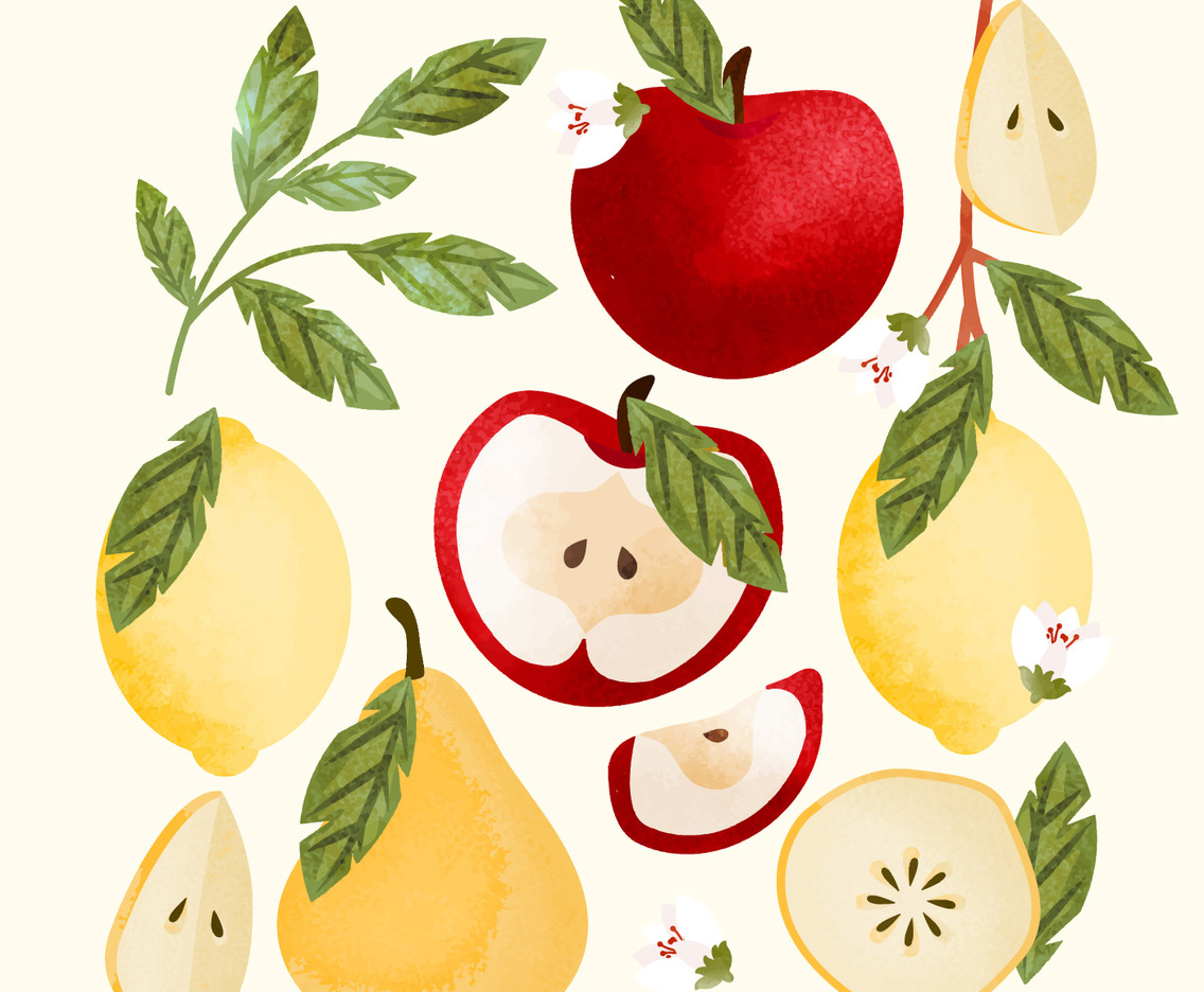 Vector Hand Drawn Fruits