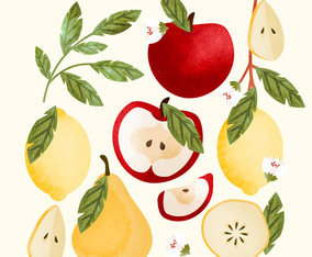 Vector Hand Drawn Fruits