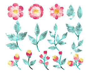 Vector Watercolor Flowers and Branches