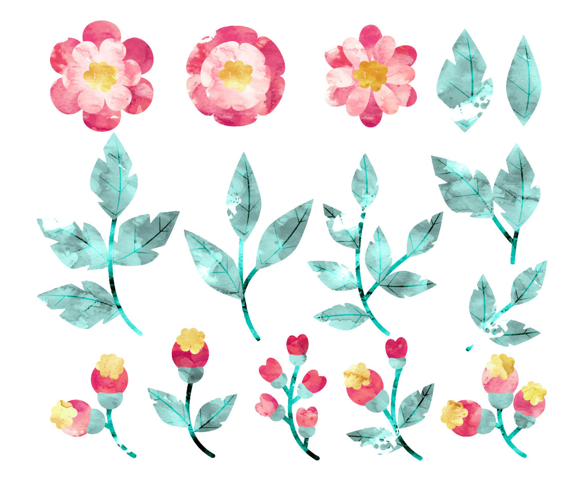 Vector Watercolor Flowers and Branches