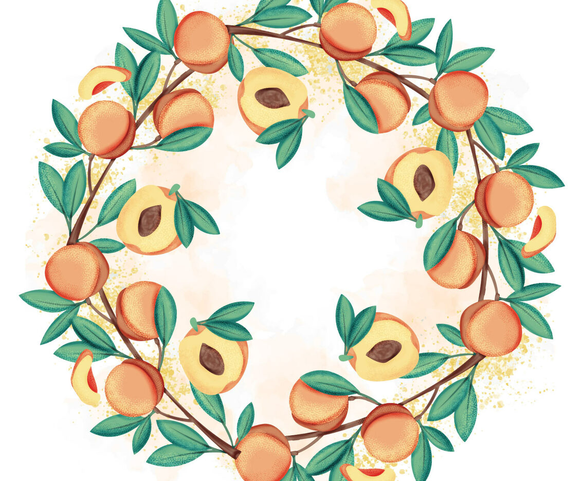 Vector Hand Drawn Peach Frame