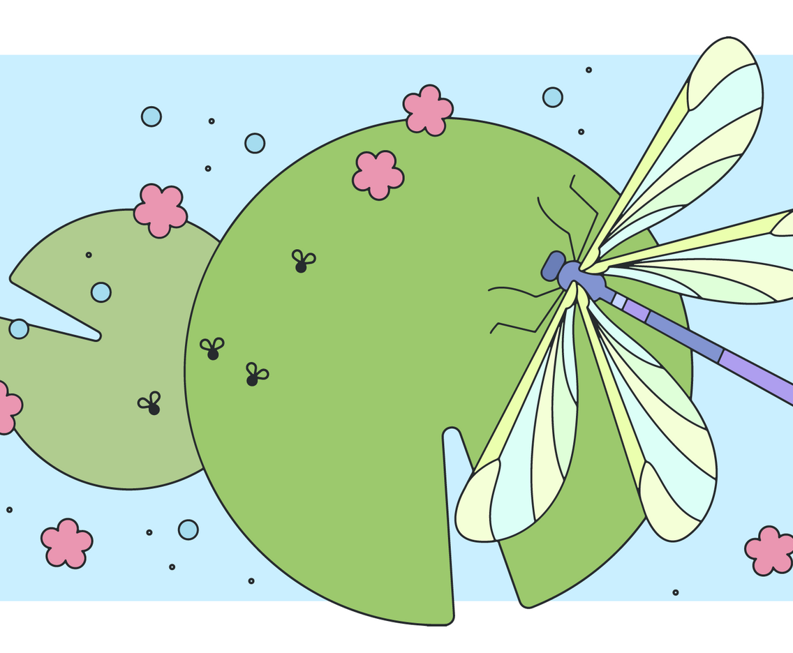 Dragon Fly Vector