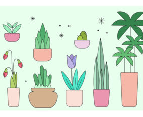 Decorative Plants Vector