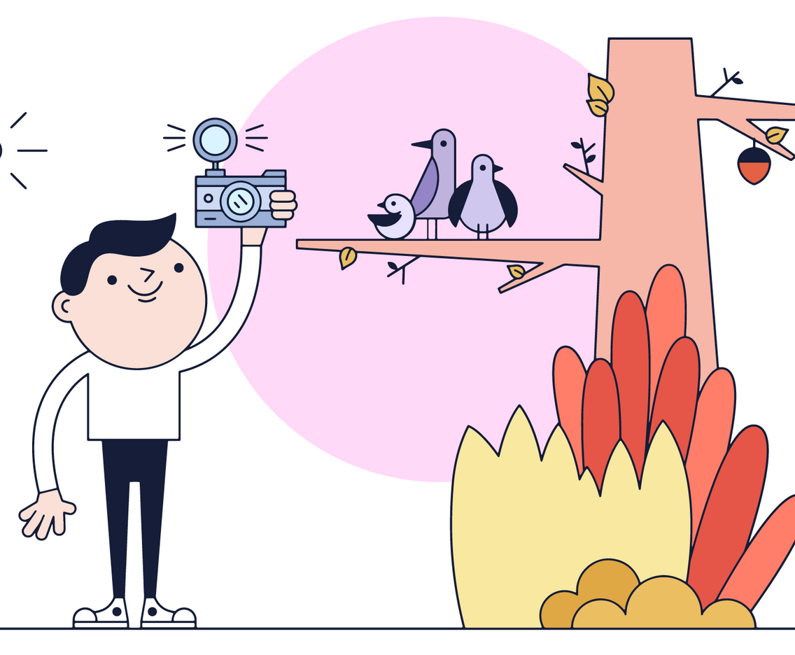 Bird Watching Vector