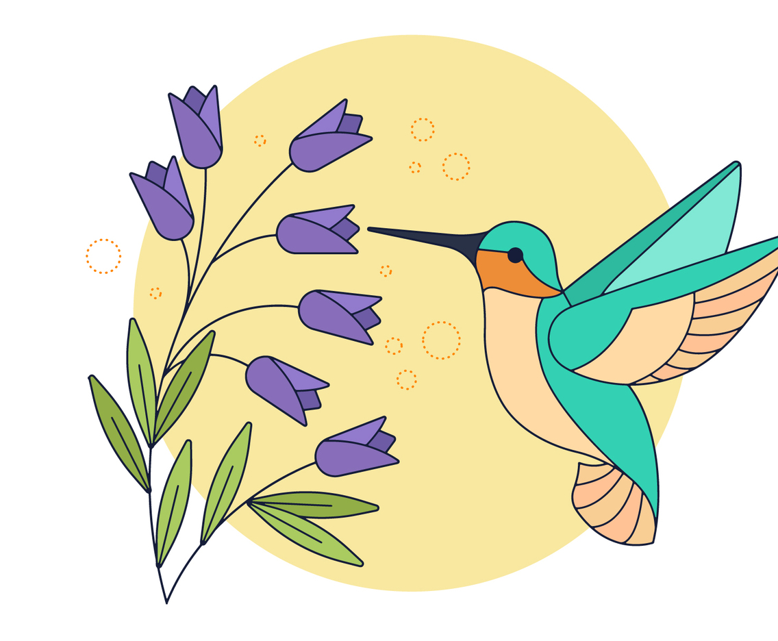 Hummingbird Vector