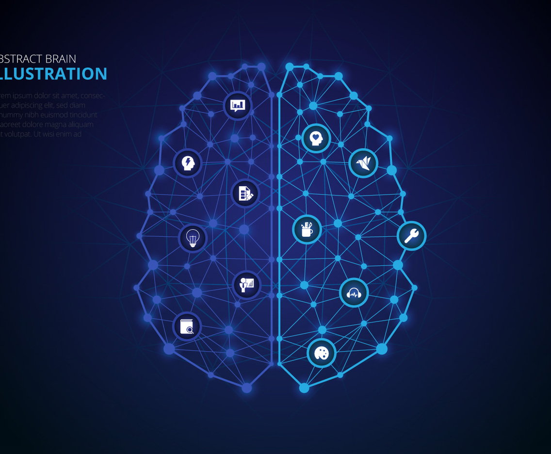 Human Brain Hemispheres Infographic
