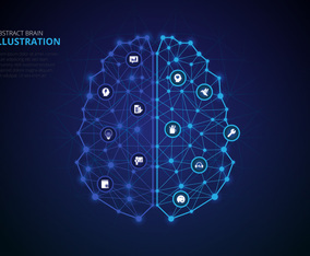 Human Brain Hemispheres Infographic