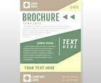 Business Brochure Design