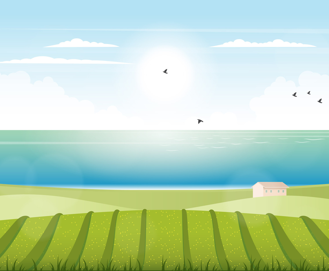 Vector Landscape illustration