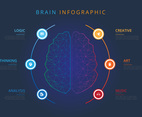 Human Brain Hemispheres Infographic