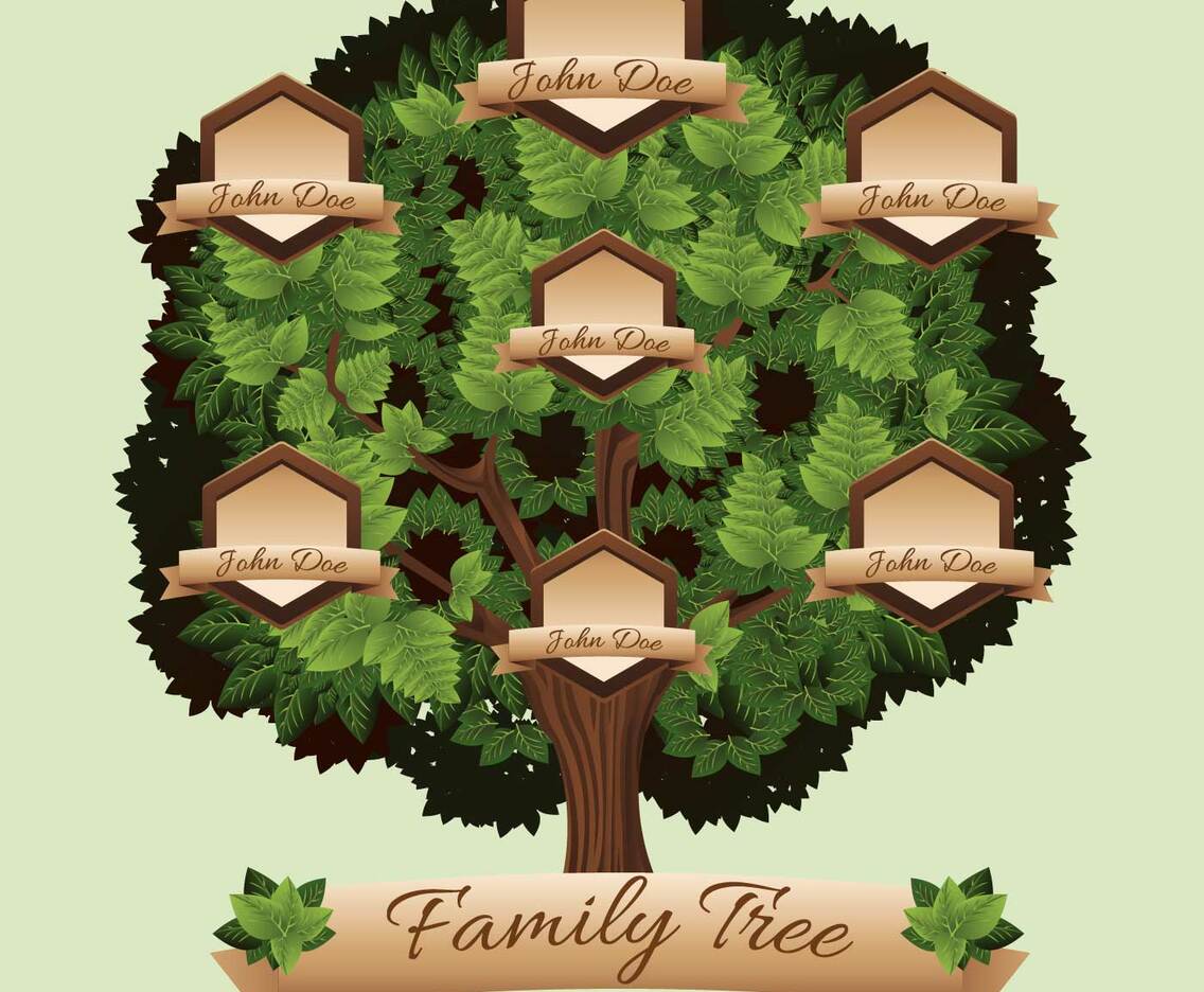 family tree