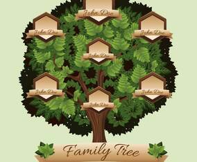 family tree