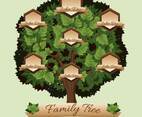 family tree