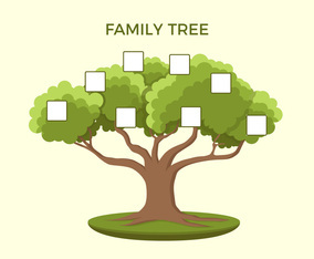 family tree template - 24129 Free Vectors to Download | FreeVectors