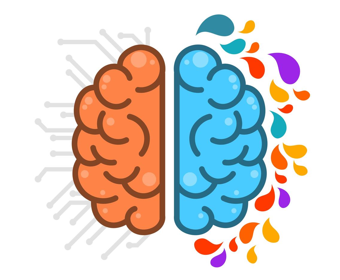 Flat Simple Human Brain HemisPheres
