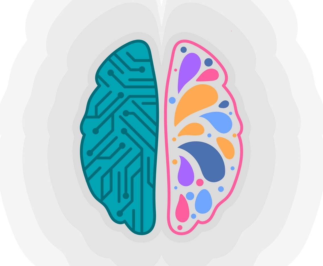 Flat Human Brain Hemispheres
