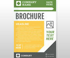 Business Brochure Design