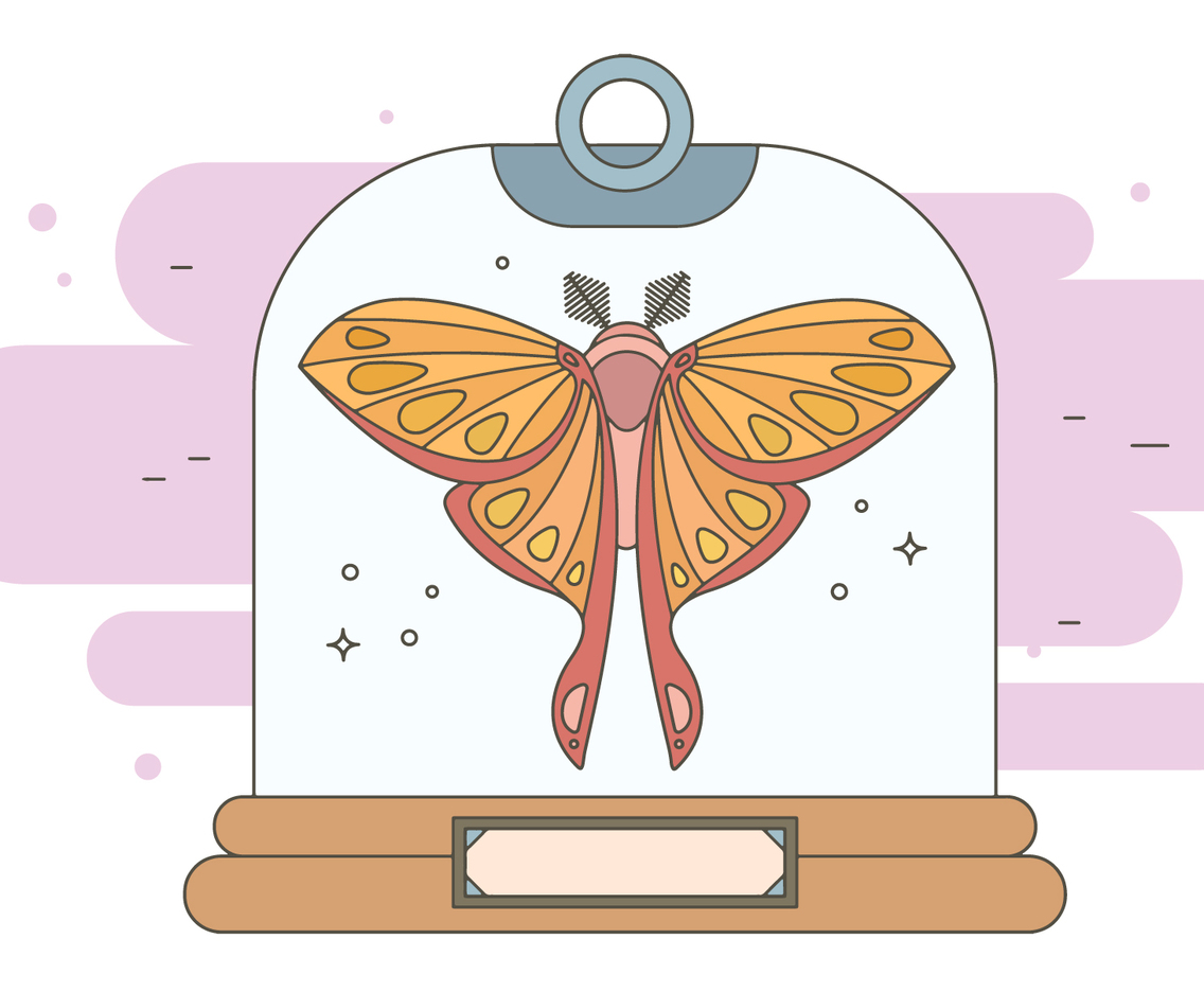 Rare Specimen Vector