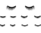 Eyelashes Clipart Vector