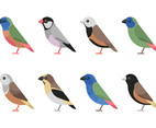 Bird Clipart Set