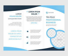 Professional Brochure Vector Template