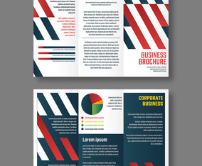 Brochure Template