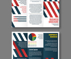 Brochure Template