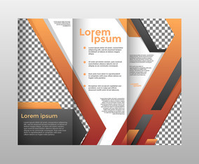 Orange Brochure Template Vector