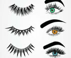 False Eyelashes Styles Vector Pack