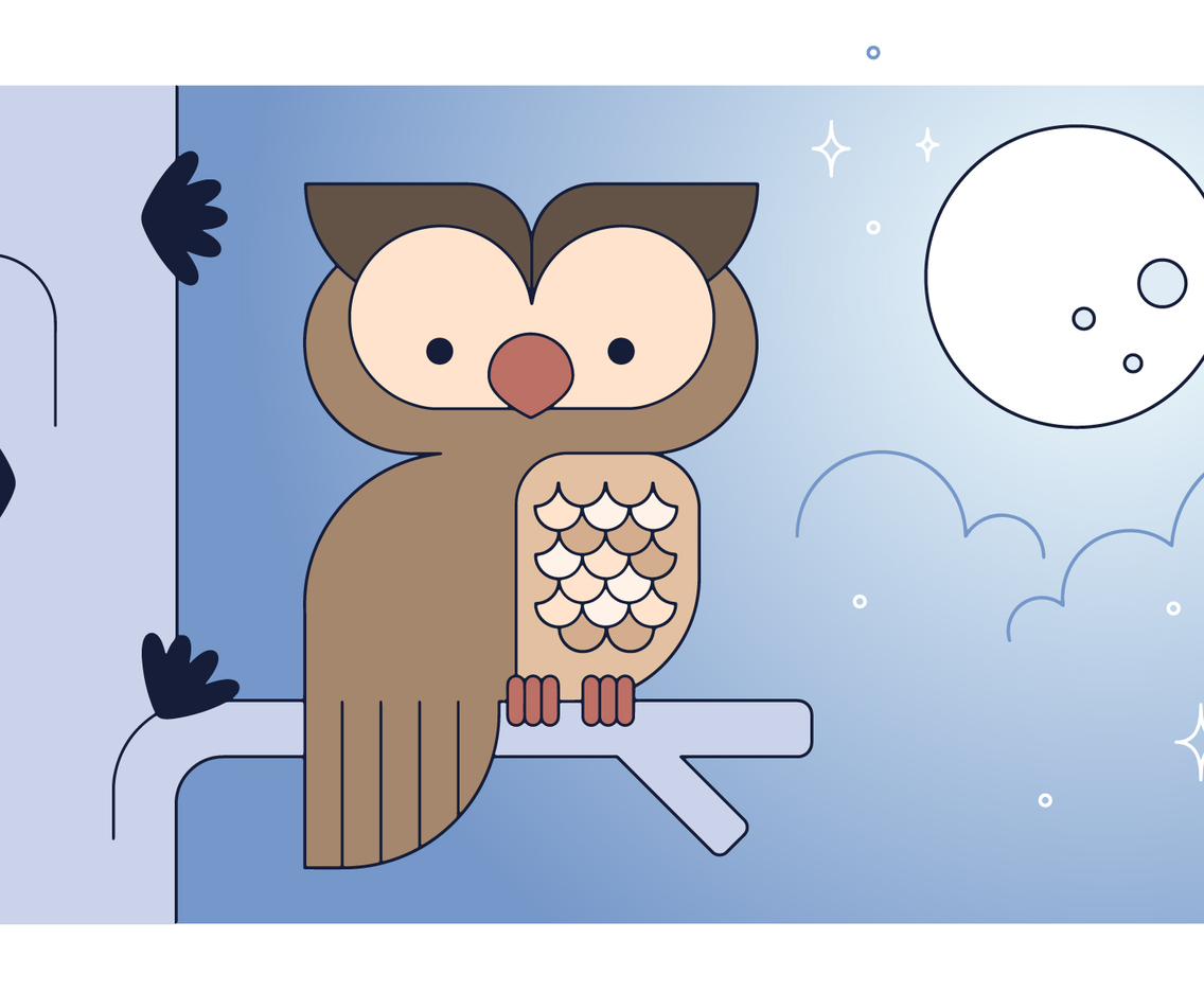 Owl Vector